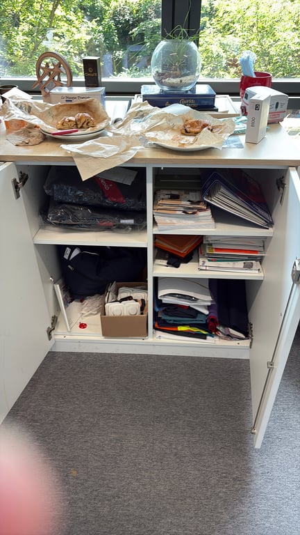 Armoire basse en mélaminé avec portes battantes