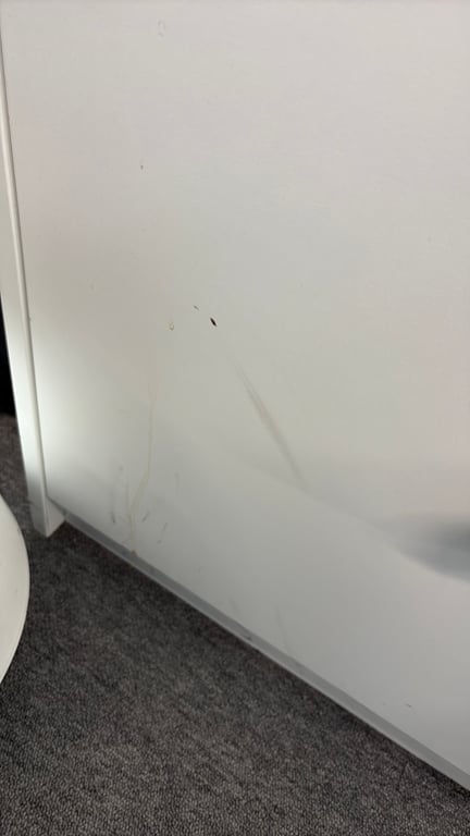 Armoire basse en mélaminé avec portes battantes