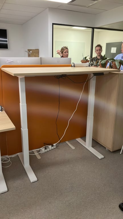 Bureau réglable électrique
